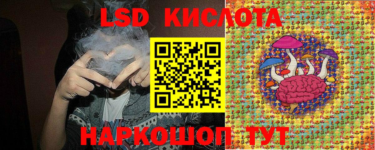 Наркотические марки 1,5мг  Наркотические марки 1,5мг  Выборг  Вход с VPN 