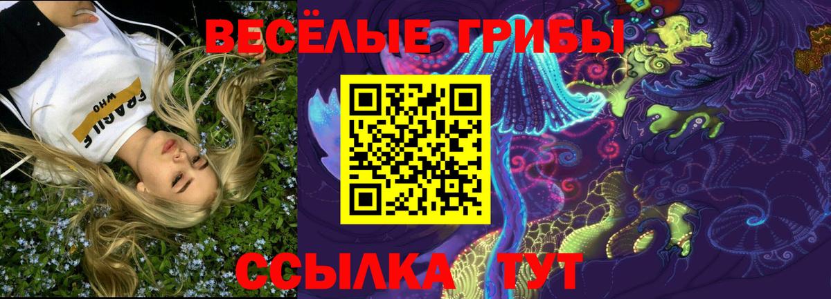 Галлюциногенные грибы Cubensis  Вход с VPN  Выборг 